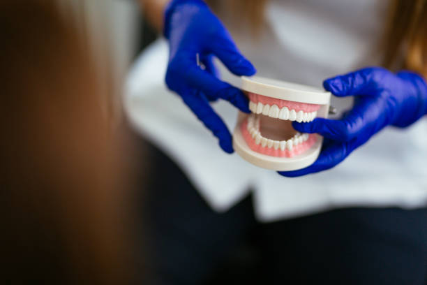 Best Traditional Braces  in North Utica, IL